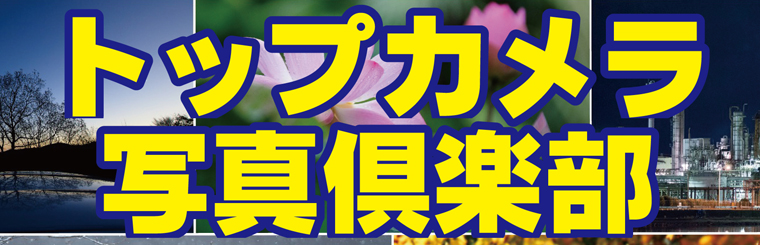 スタジオフォトップ5